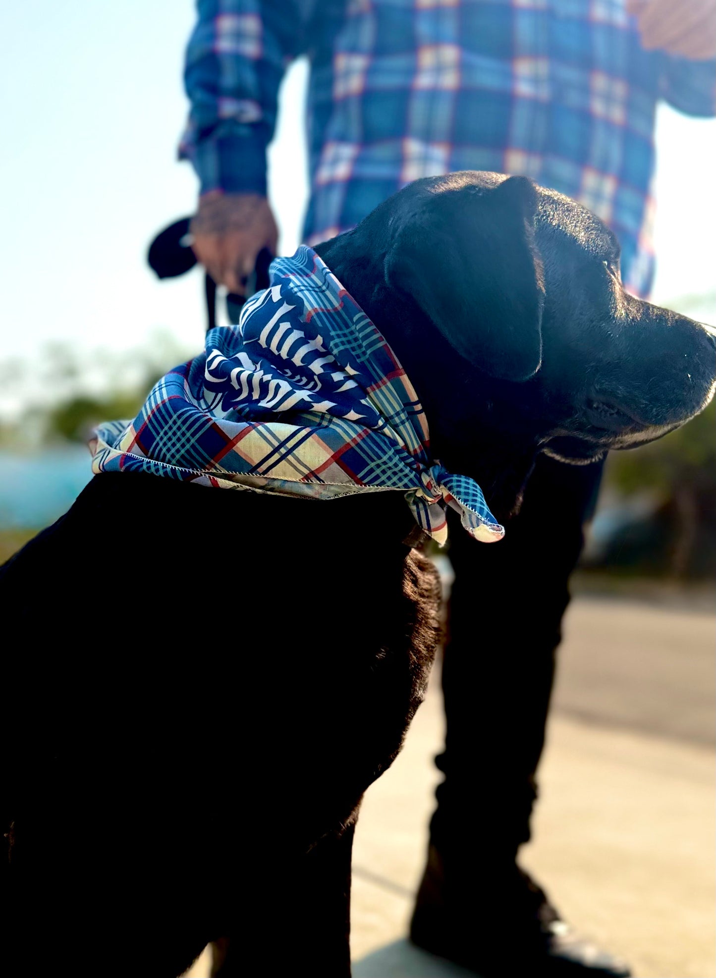 The Chain Snatcher Bandana