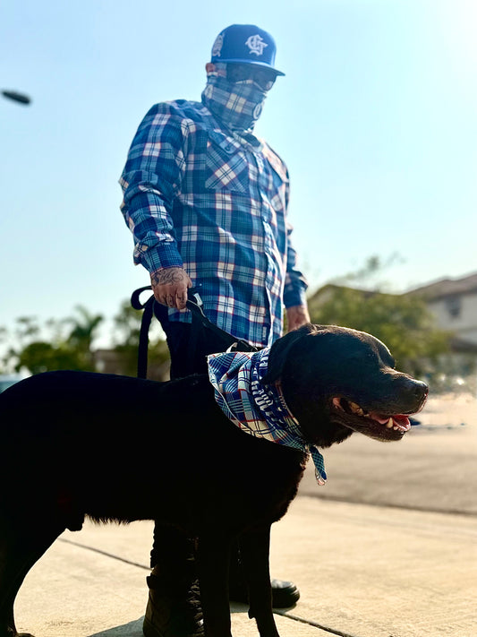 The Chain Snatcher Bandana