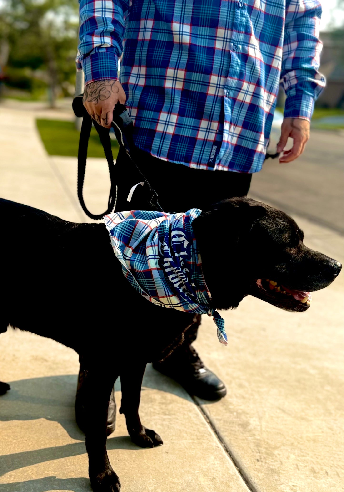 The Chain Snatcher Bandana