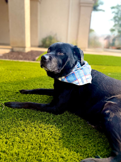 The Chain Snatcher Bandana